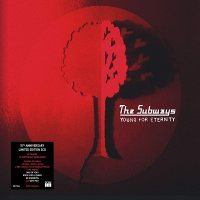 The Subways: Young For Eternity (15th Anniversary Edition, 2 CD)
