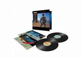Pink Floyd - Delicate Sound Of Thunder (180 Gram, 2 LP)