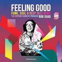 Feeling Good: Funk Soul & Deep Jazz Gems / Various: Feeling Good [CD]