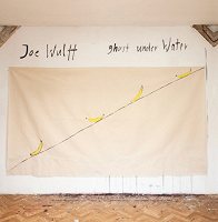 Joe Wulff: Ghost Under Water [LP]