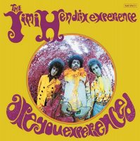 Jimi Hendrix: Are You Experienced [LP] 2013