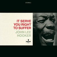 John Lee Hooker - It Serves You Right to Suffer - Vinyl