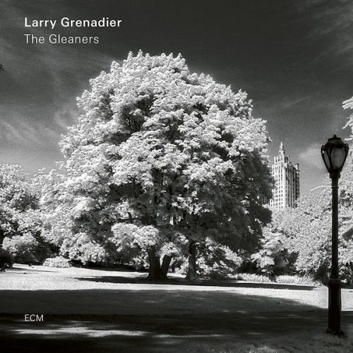 Larry Grenadier: The Gleaners LP