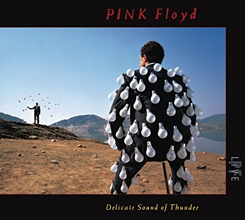 Pink Floyd: Delicate Sound of Thunder 