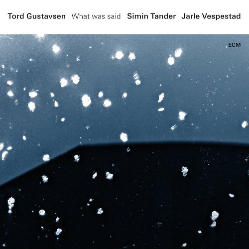 Tord Gustavsen, Simin Tander & Jarle Vespestad: What Was Said 