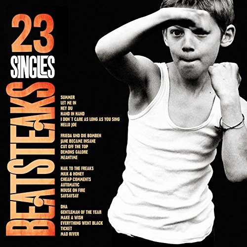 Beatsteaks: 23 Singles CD