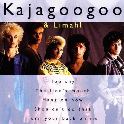 The Very Best of Kajagoogoo CD