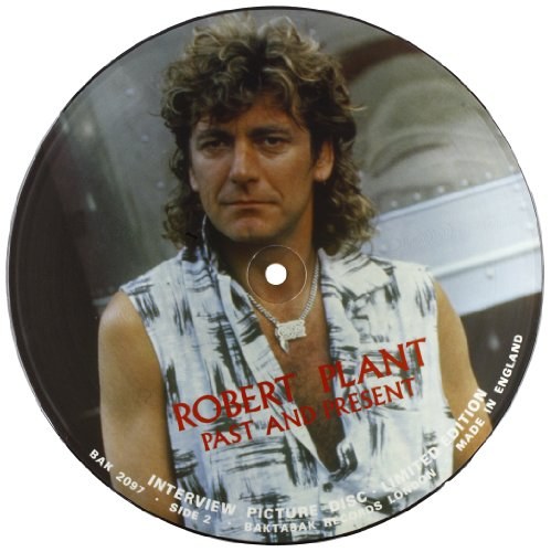 Robert Plant: Interview Picture Disc LP
