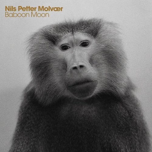 Nils Petter Molvaer: Baboon Moon CD