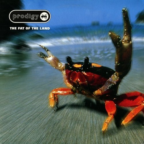 The Prodigy: The Fat of the Land 2 LP