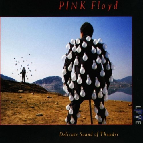 Pink Floyd - Delicate Sound Of Thunder - Live 2 CD