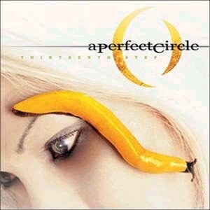 Perfect Circle, A. Thirteenth Step 2 LP