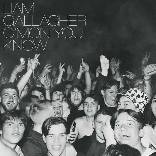 Gallagher, Liam: C'Mon You Know LP