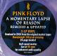 Pink Floyd: Momentary Lapse of Reason 2 LP | фото 8