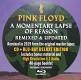 Pink Floyd: Momentary Lapse of Reason 2 CD | фото 9