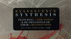 Evanescence: Synthesis 2 LP | фото 11