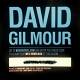 Gilmour, David: Yes, I Have Ghosts Single 7" | фото 5