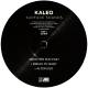 Kaleo: Surface Sounds 2 LP | фото 5