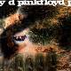 Pink Floyd: A Saucerful of Secrets  | фото 1