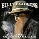 Billy F Gibbons: The Big Bad Blues LP | фото 1