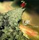 Korn: Follow The Leader 2 LP | фото 1