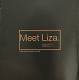 LIZA MINNELLI: Results: Expanded Edition 3 CD, DVD | фото 11