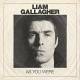 Liam Gallagher: As You Were  | фото 1