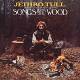 Jethro Tull: Songs from the Wood - Steven Wilson Remix - &#201;dition Limit&#233;e | фото 1