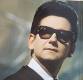 Roy Orbison & The Royal Philharmonic Orchestra - A Love So Beautiful LP | фото 5