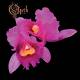 Opeth: Orchid Reissue CD | фото 1