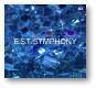 Dan /&Ouml;str&ouml;m, Magnus / Ek, Hans Berglund: E.S.T.Symphony CD | фото 1
