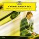 Transcendental: Daniil Trifonov plays Franz Liszt 2 CD | фото 1