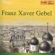 Gebel, Franz Xaver: Streichquartette D-Dur & Es-Dur op.27 CD | фото 1