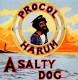 Procol Harum: A Salty Dog CD | фото 1