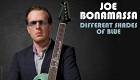 Joe Bonamassa: Different Shades of Blue CD | фото 2