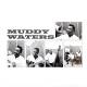 Muddy Waters: Folk Singer 200 Gram Vinyl Vinyl LP | фото 8