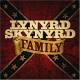 Lynyrd Skynyrd: Family CD | фото 1