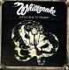 Whitesnake - Little Box 'O' Snakes - The Sunburst Years 1978-1982 8 CD | фото 1