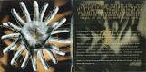 Bobby Mcferrin: Circlesongs CD 1997 | фото 12