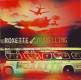 Roxette: Travelling CD | фото 1