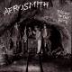 Aerosmith: Night in the Ruts CD 1993 | фото 1