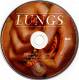 Florence and the Machine: Lungs CD | фото 3