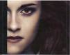 The Twilight Saga: Breaking Dawn Part 2  | фото 3