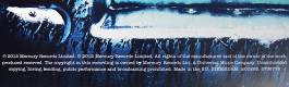 Mark Knopfler - Privateering-2lp - Vinyl | фото 8