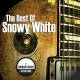Snowy White – The Best Of Snowy White 2 CD | фото 1