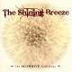 SLOWDIVE - The Shining Breeze - The Anthology 2 CD | фото 1