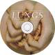 Florence and the Machine - Lungs CD | фото 3