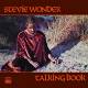 Stevie Wonder - Talking Books CD | фото 1