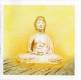 Buddhattitude Liberdade, CD | фото 3