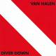 Van Halen - Diver Down  | фото 1